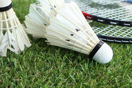 的个人神话 的个人神话